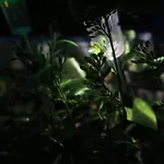 Beau 4 pièces dans coin de verdure