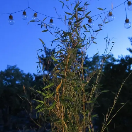 Beau 4 Pièces Dans Coin De Verdure