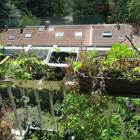 Beau 4 Pièces Dans Coin De Verdure Appartamento *