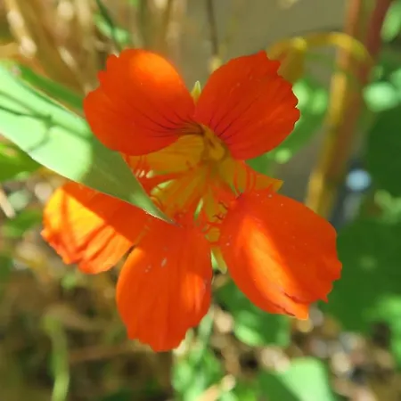Appartamento Beau 4 Pièces Dans Coin De Verdure