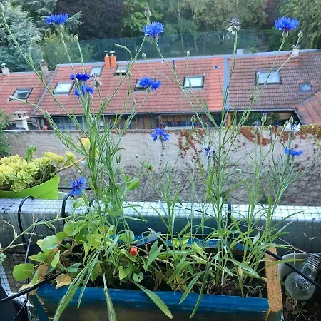 Appartamento Beau 4 Pièces Dans Coin De Verdure *