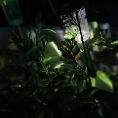 Appartamento Beau 4 Pièces Dans Coin De Verdure