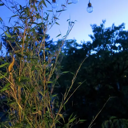 Beau 4 Pièces Dans Coin De Verdure Appartamento Parigi